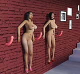 3D BDSM project 2